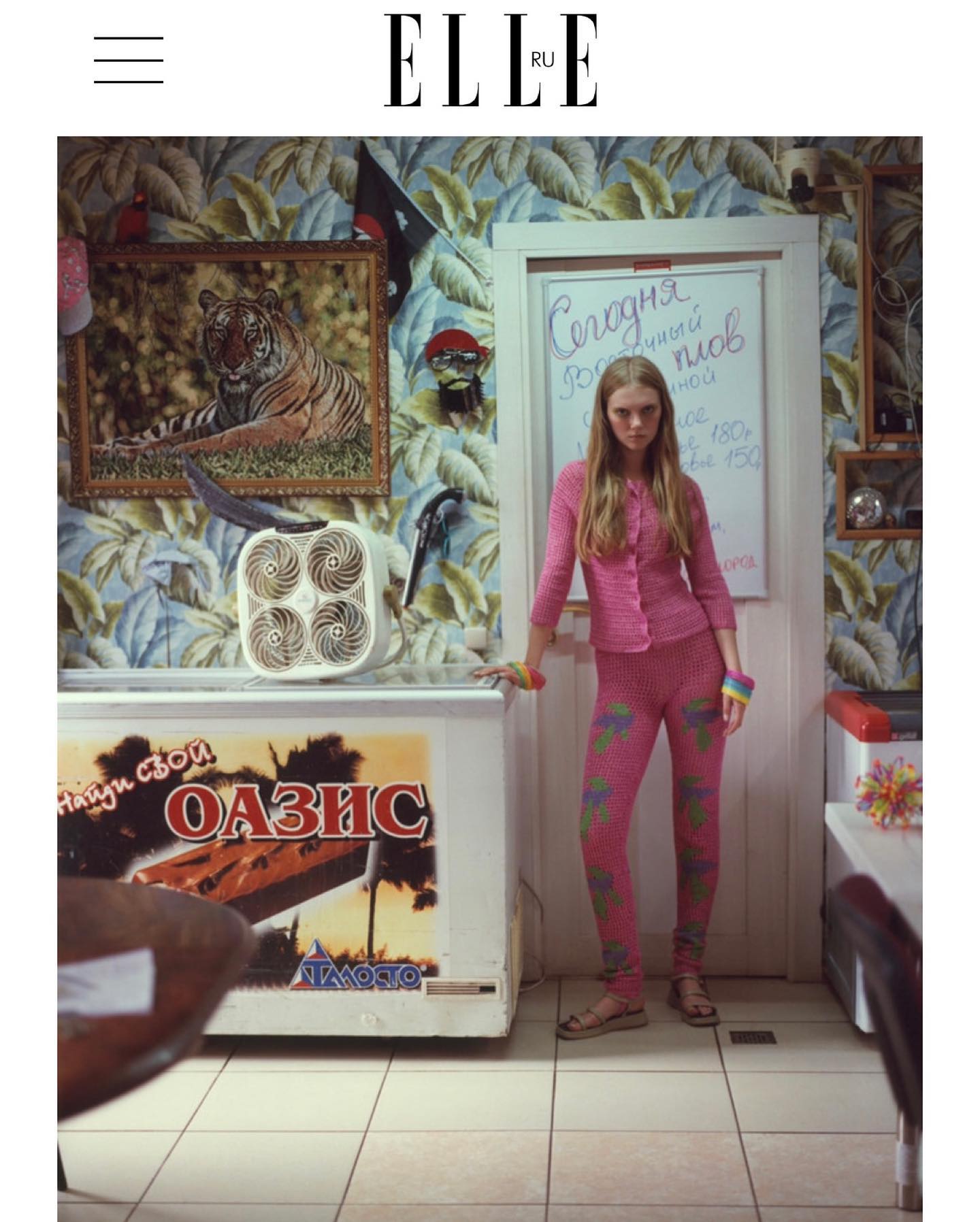 Arina Safronova portfolio photo 14